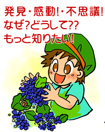 自発的な学びの意欲